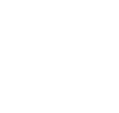 阜阳金牌实业